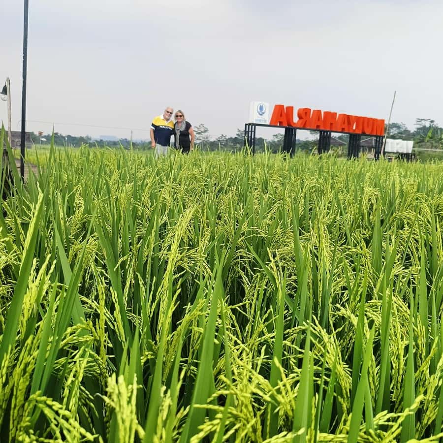 Jakarta Bogor Botanical Garden, Waterfall and Rice Terrace - Starting in Bogor’s 87-hectare garden