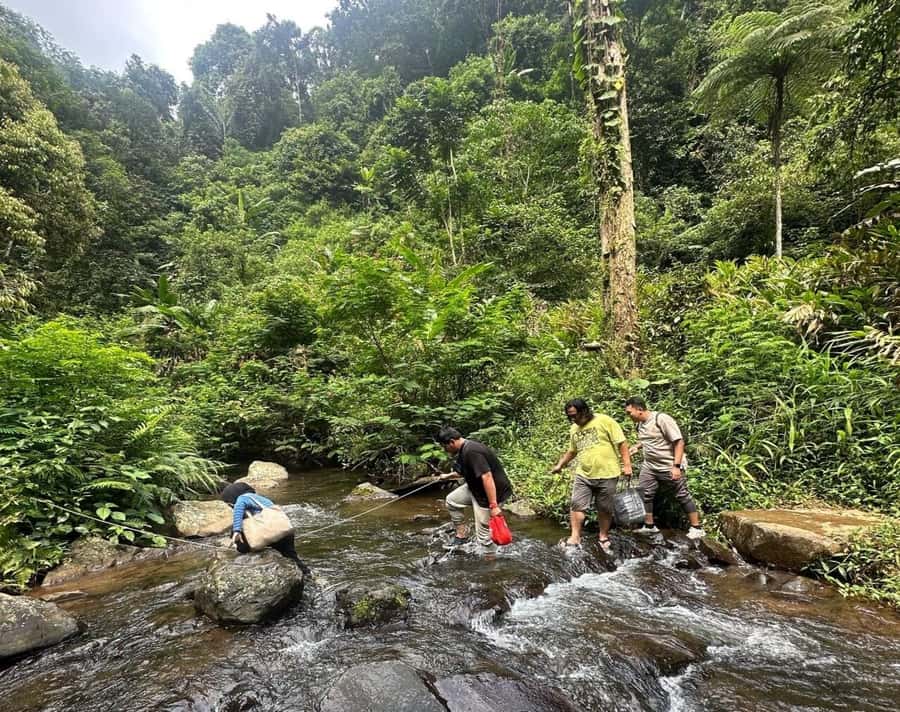 Jakarta: Botanical Garden & Rainforest Trekking to Waterfall - From Jakarta traffic to Bogor’s rice fields