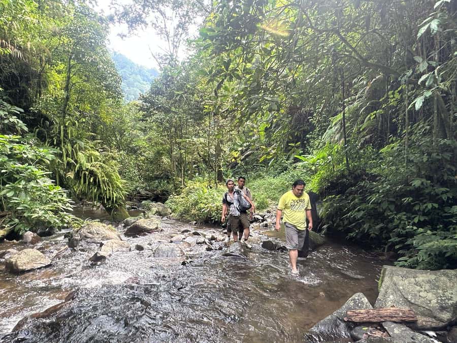 Jakarta: Botanical Garden & Rainforest Trekking to Waterfall - Village life beside the paddy fields