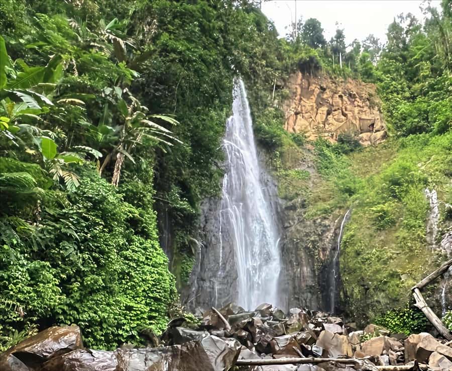 Jakarta: Botanical Garden & Rainforest Trekking to Waterfall - Indonesian lunch in Bogor