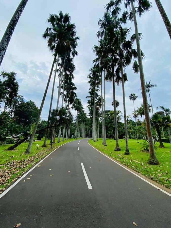 Jakarta: Botanical Garden & Rainforest Trekking to Waterfall - Why the private format helps