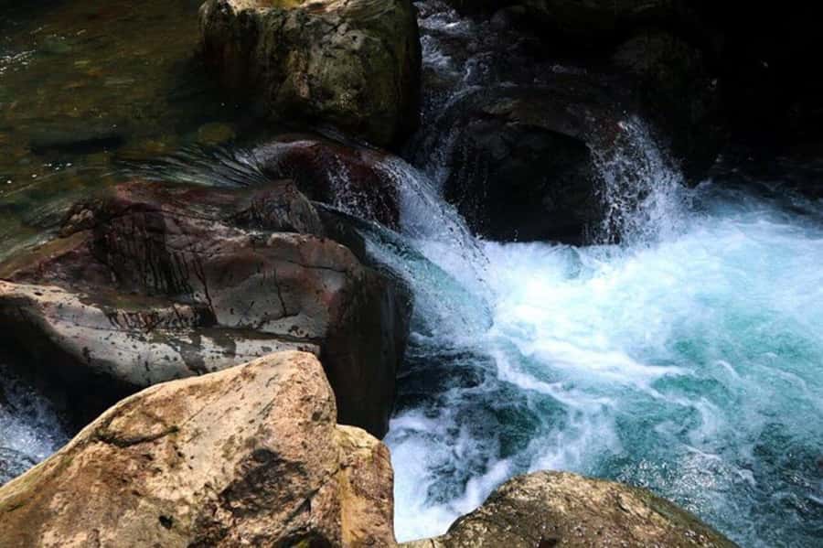 Jakarta: Botanical Garden & Rainforest Trekking to Waterfall - What to bring for a wet rainforest walk