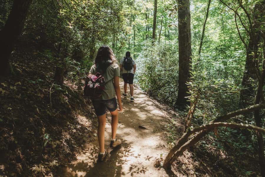 Jakarta: Botanical Garden & Rainforest Trekking to Waterfall - Bogor Botanical Garden and its 15,000 plant species