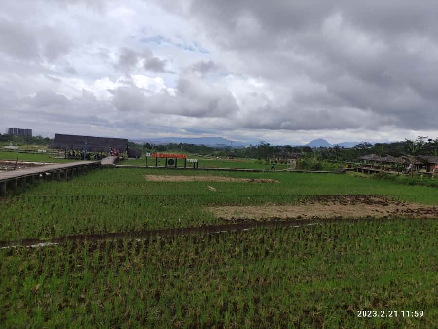 Jakarta : Botanical Garden, Waterfalls, and Rice Fields Tour - Why this day trip works from Jakarta