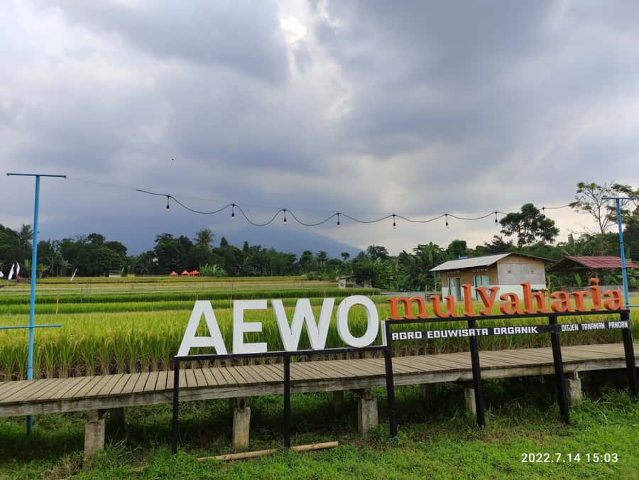 Jakarta : Botanical Garden, Waterfalls, and Rice Fields Tour - Meeting farmers in Mulyaharja