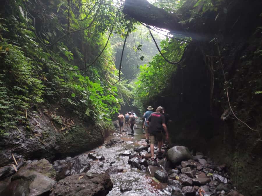 Jakarta : Botanical Garden, Waterfalls, and Rice Fields Tour - Curug Nangka and the river walk