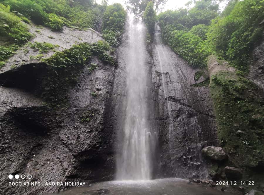 Jakarta : Botanical Garden, Waterfalls, and Rice Fields Tour - Who will enjoy this Bogor outing
