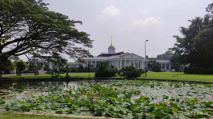 Jakarta : Botanical Garden, Waterfalls, and Rice Fields Tour - Two hours among Bogor’s plant collections