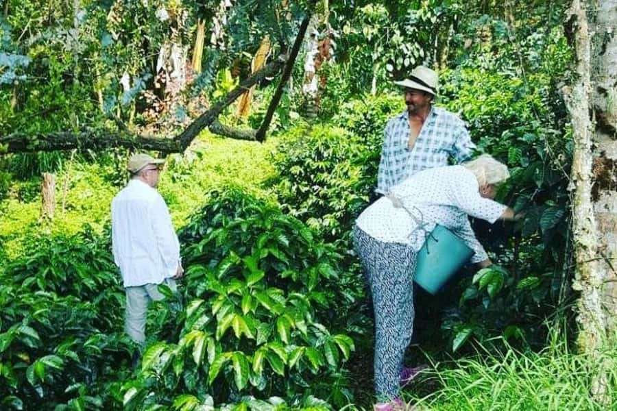 Jardín: Horseback Ride with Coffee Villa and Waterfall - The pace, comfort, and practical limits