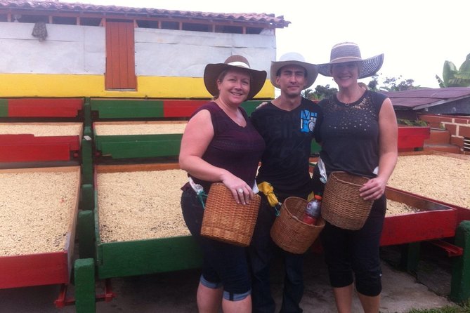 Jardin Private Day Trip: Colombian Coffee Tour from Medellin - What happens at the coffee farm