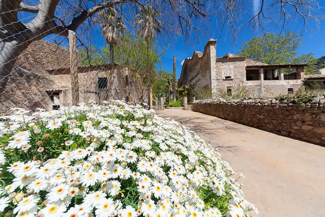 Jardines de Alfabia Tickets - Planning one to five hours on site