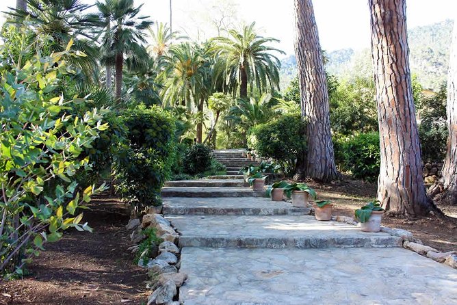 Jardines de Alfabia Tickets - What to consider before you book