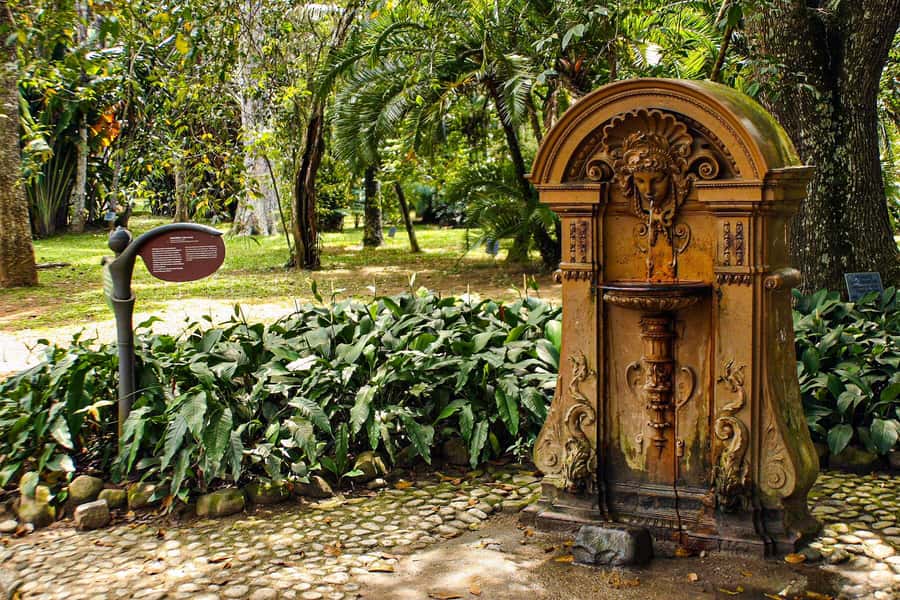 Jeep'n'Green: Rio Botanical Garden & Tijuca Rainforest Tour - Key points to know before booking