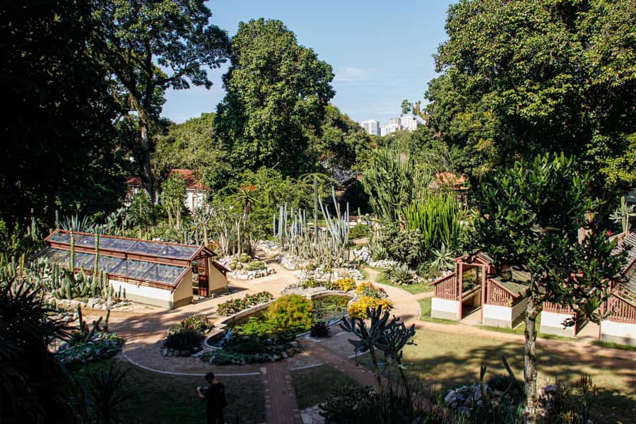 Jeep'n'Green: Rio Botanical Garden & Tijuca Rainforest Tour - Who will enjoy this Rio nature tour?