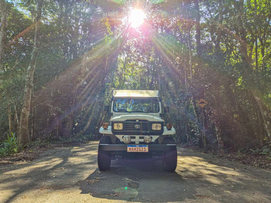 Jeep'n'Green: Rio Botanical Garden & Tijuca Rainforest Tour - From royal garden to rainforest
