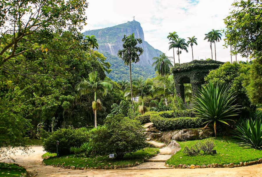 Jeep'n'Green: Rio Botanical Garden & Tijuca Rainforest Tour - Emperor’s Table and Rio from above