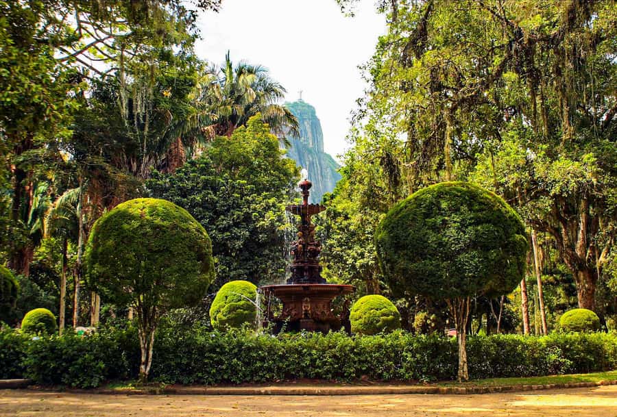 Jeep'n'Green: Rio Botanical Garden & Tijuca Rainforest Tour - Mayrink Chapel in the forest