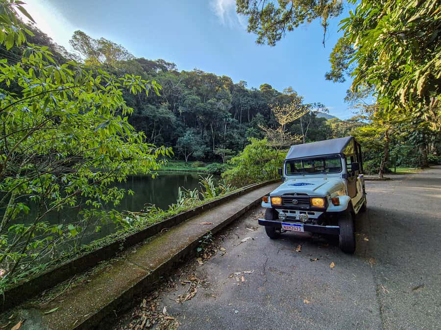 Jeep'n'Green: Rio Botanical Garden & Tijuca Rainforest Tour - Riding into Tijuca Atlantic Forest