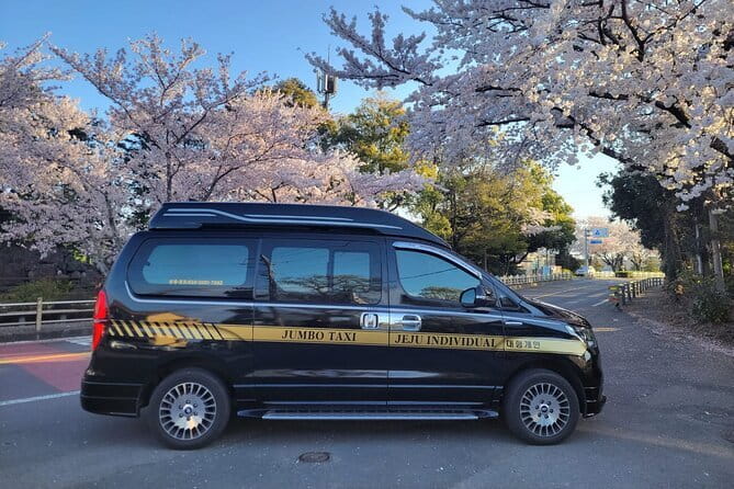 Jeju BTS & K-drama Fans Small Group Tour incl. Snoopy Garden - Lunch near Seongsan with local choices