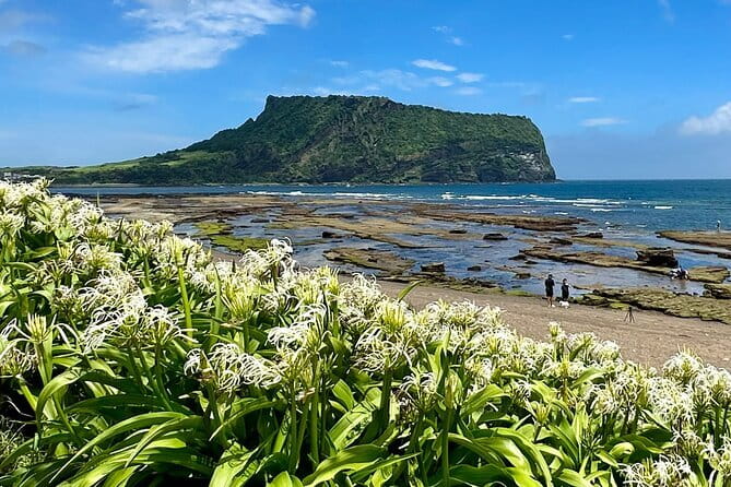 Jeju BTS & K-drama Fans Small Group Tour incl. Snoopy Garden - Seongeup Folk Village and old Jeju homes
