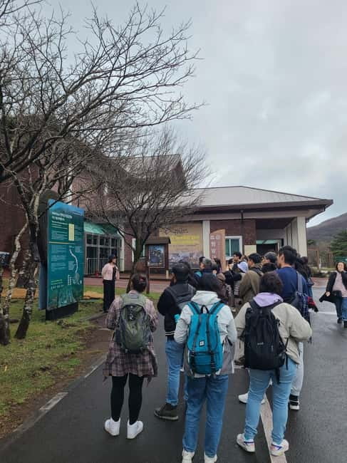 Jeju: Cherry Blossom South & West Day Tour with Hotel Pickup - Camellia Hill: flowers, paths, and breathing room