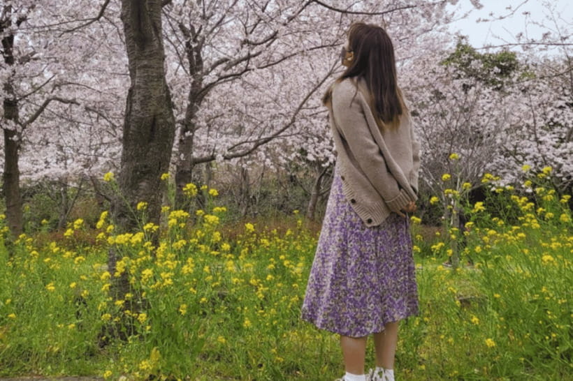 Jeju: Cherry Blossom South & West Day Tour with Hotel Pickup - O’sulloc Green Tea Museum: a gentle final stop