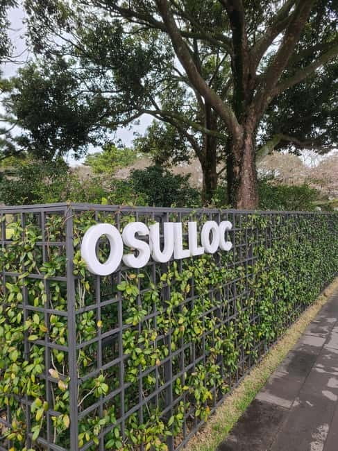 Jeju: Cherry Blossom South & West Day Tour with Hotel Pickup - Hallasan: a short walk with a real fitness check