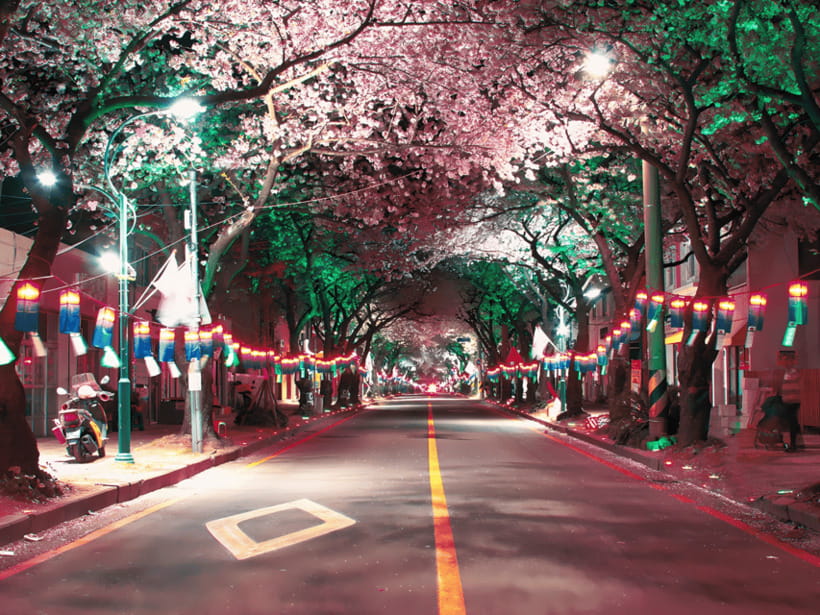 Jeju East: Cherry Blossom Early Bird Tour with Hotel Pickup - Seongsan Ilchulbong, the day’s big finish