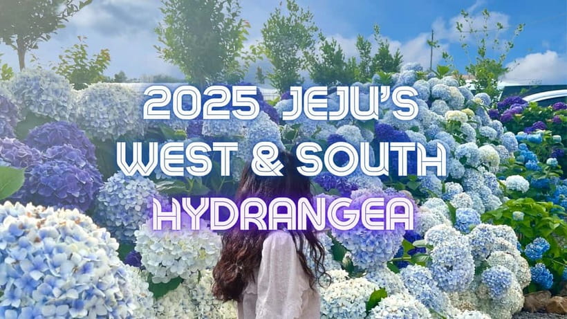 Jeju: Western & Southern Jeju Hydrangea Festival Tour - Hallim Park during hydrangea season