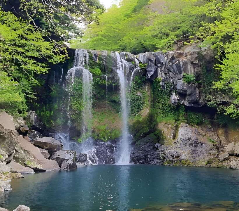Jeju: Western & Southern Jeju Hydrangea Festival Tour - Lunch, with the bill separate