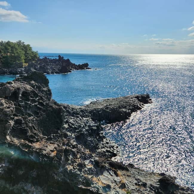 Jeju: Western & Southern Jeju Hydrangea Festival Tour - Cheonjeyeon Falls and the southern coast