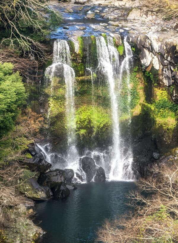 Jeju: Western & Southern Jeju Hydrangea Festival Tour - O’Sulloc and the green tea fields