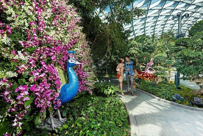 Jewel Changi Airport: Hedge Maze and Canopy Park Ticket - The hedge maze gives this airport visit a purpose