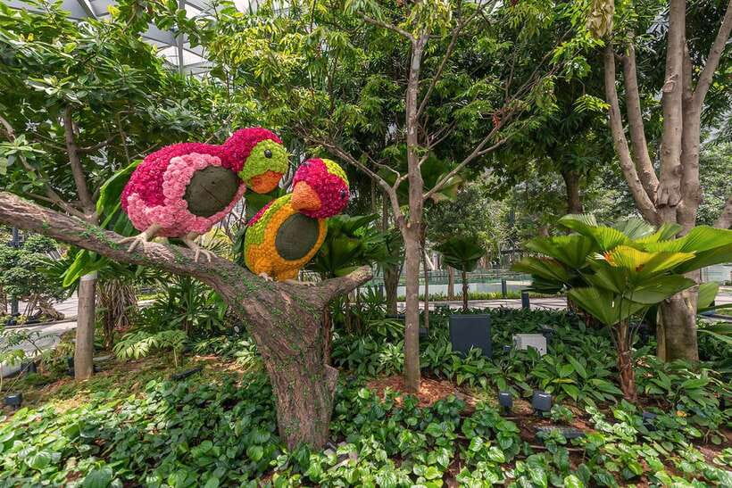 Jewel Changi Airport: Hedge Maze and Canopy Park Ticket - Foggy Bowls bring a playful change of mood