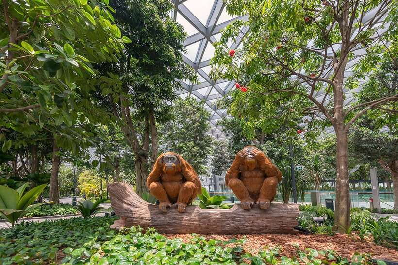 Jewel Changi Airport: Hedge Maze and Canopy Park Ticket - Petal Garden slows the visit down