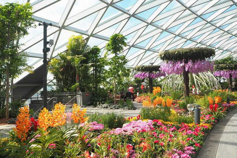 Jewel Changi Airport: Hedge Maze and Canopy Park Ticket - The airport setting is useful, but luggage changes the value