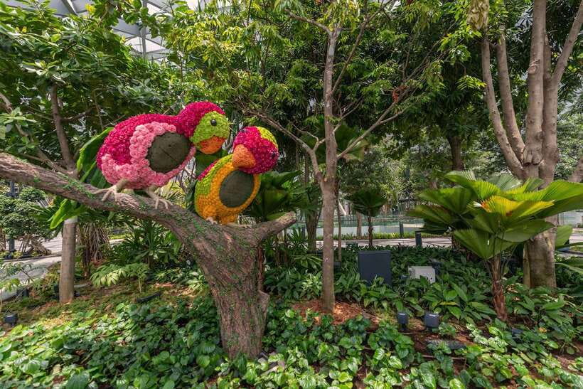 Jewel Changi Airport: Mirror Maze and Canopy Park Ticket - What you are really paying for at $14