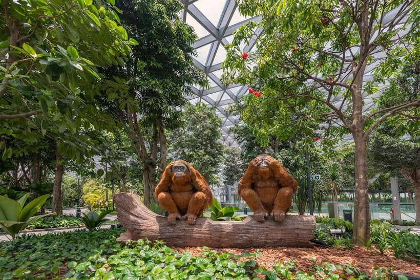Jewel Changi Airport: Mirror Maze and Canopy Park Ticket - Inside the Mirror Maze