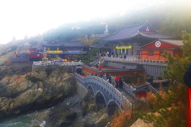 Jinhae Cherry Blossom + Busan Sunrise from Seoul - Sunrise at Haedong Yonggungsa Temple