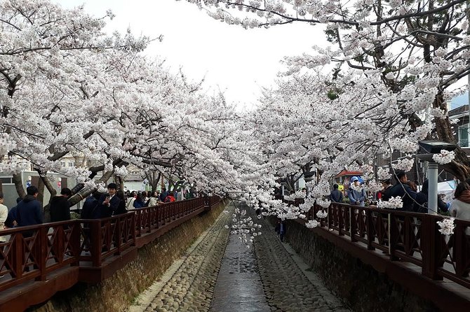 Jinhae Cherry Blossom + Busan Sunrise from Seoul - The ride back to Seoul