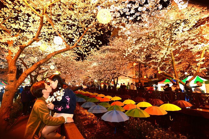 Jinhae Cherry Blossom Day trip from Busan - A Spring Adventure! - What the English-only guide adds