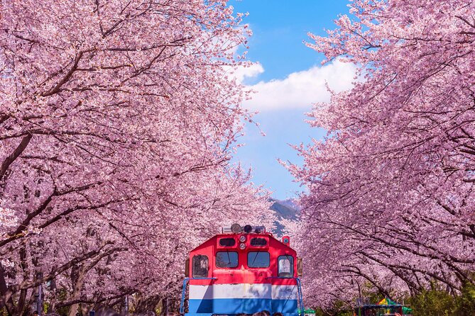 Jinhae Cherry Blossom Festival Gyeonghwa Stn Day Tour from Busan - Gyeonghwa Station and its old railway tracks
