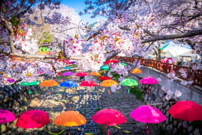 Jinhae Cherry Blossom Festival Gyeonghwa Stn Day Tour from Seoul - Gyeonghwa Station’s flower-lined railway