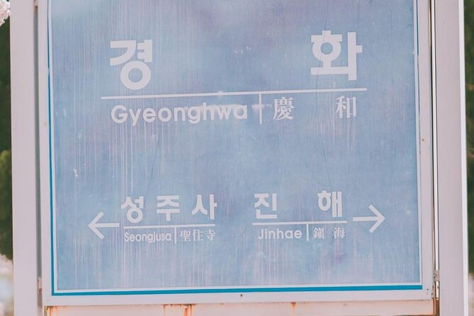 Jinhae Pink Cherry Blossom One Day Tour From Busan - Practical details that affect your decision