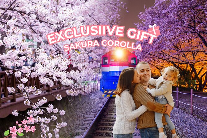 Jinhae's Cherry Blossoms Shuttle Bus depart from Seoul/Busan - What the Guides Add to the Day