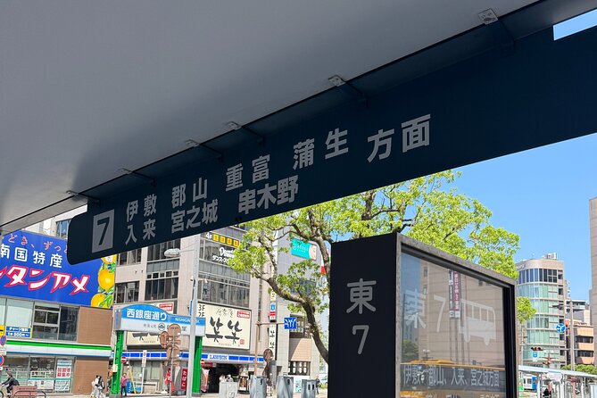 Kagoshima Gardens & Shrines — Local Bus Guided Tour (Small-Group) - Kagoshima Shrine and the basics of respectful visiting