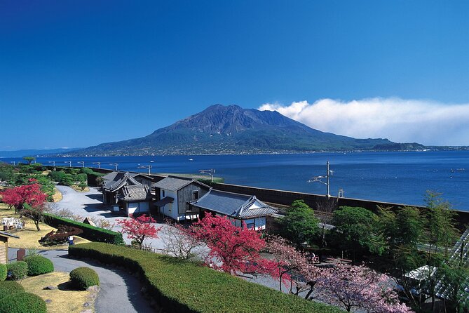 Kagoshima Highlights Private Tour, Sakurajima Volcano and more - Two viewpoints, two different volcano views