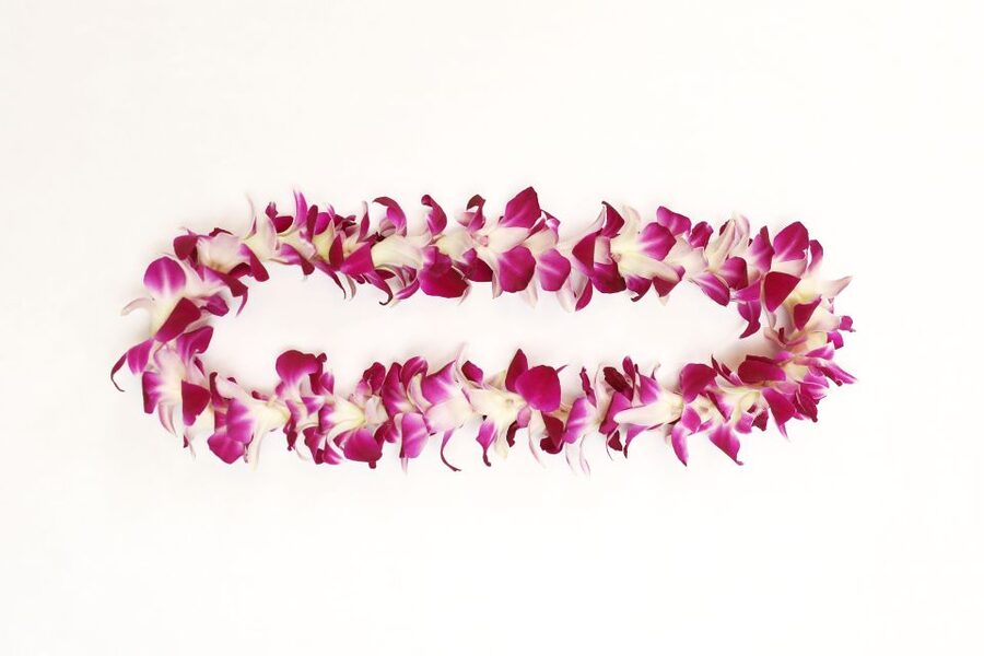 Kahului Airport: Maui Flower Lei Greeting Upon Arrival - Finding the Greeter at Kahului Airport