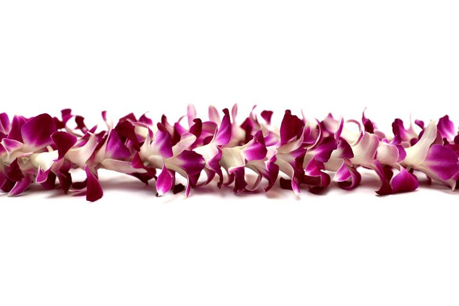 Kahului Airport: Maui Flower Lei Greeting Upon Arrival - What Happens in the Ten Minutes