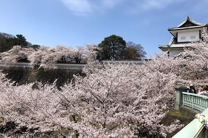 Kanazawa Private Tour: Highlights of an Old Samurai Town - What the private guide adds